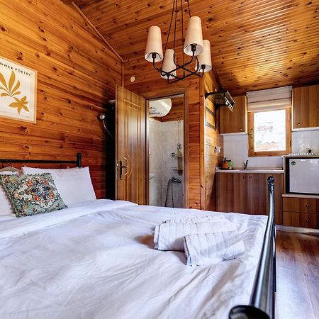 Chalet Parea メタモルフォシ エクステリア 写真